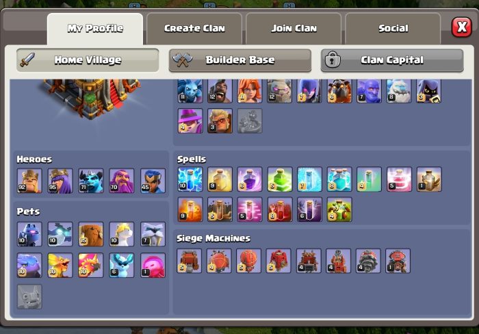 Med Level TH16 Account WIth Good Troops, Heroes And Defenses - Image 7